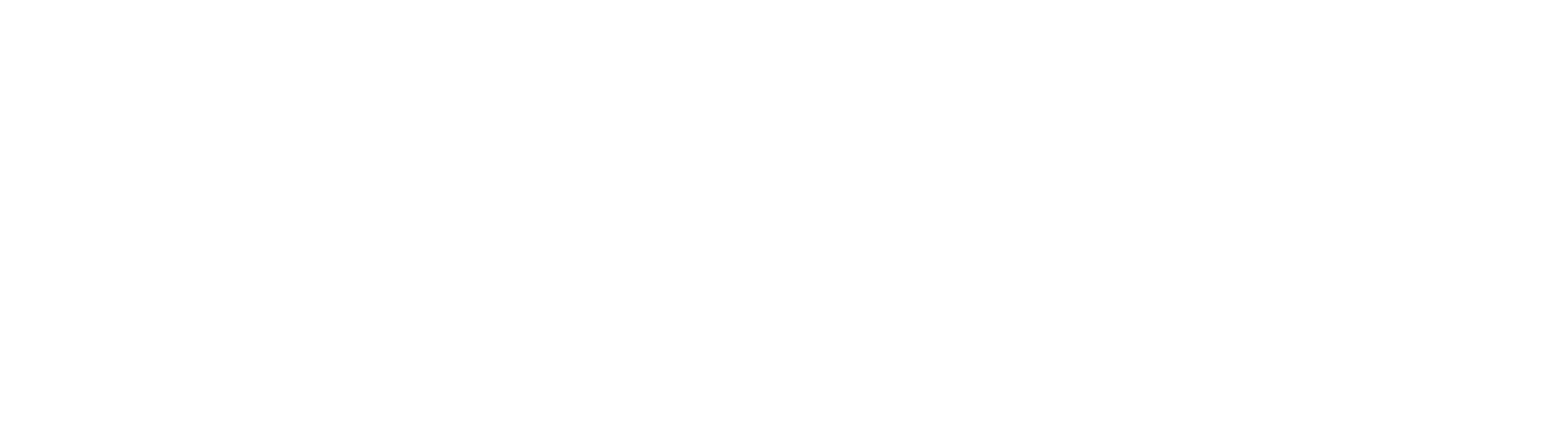 watermark